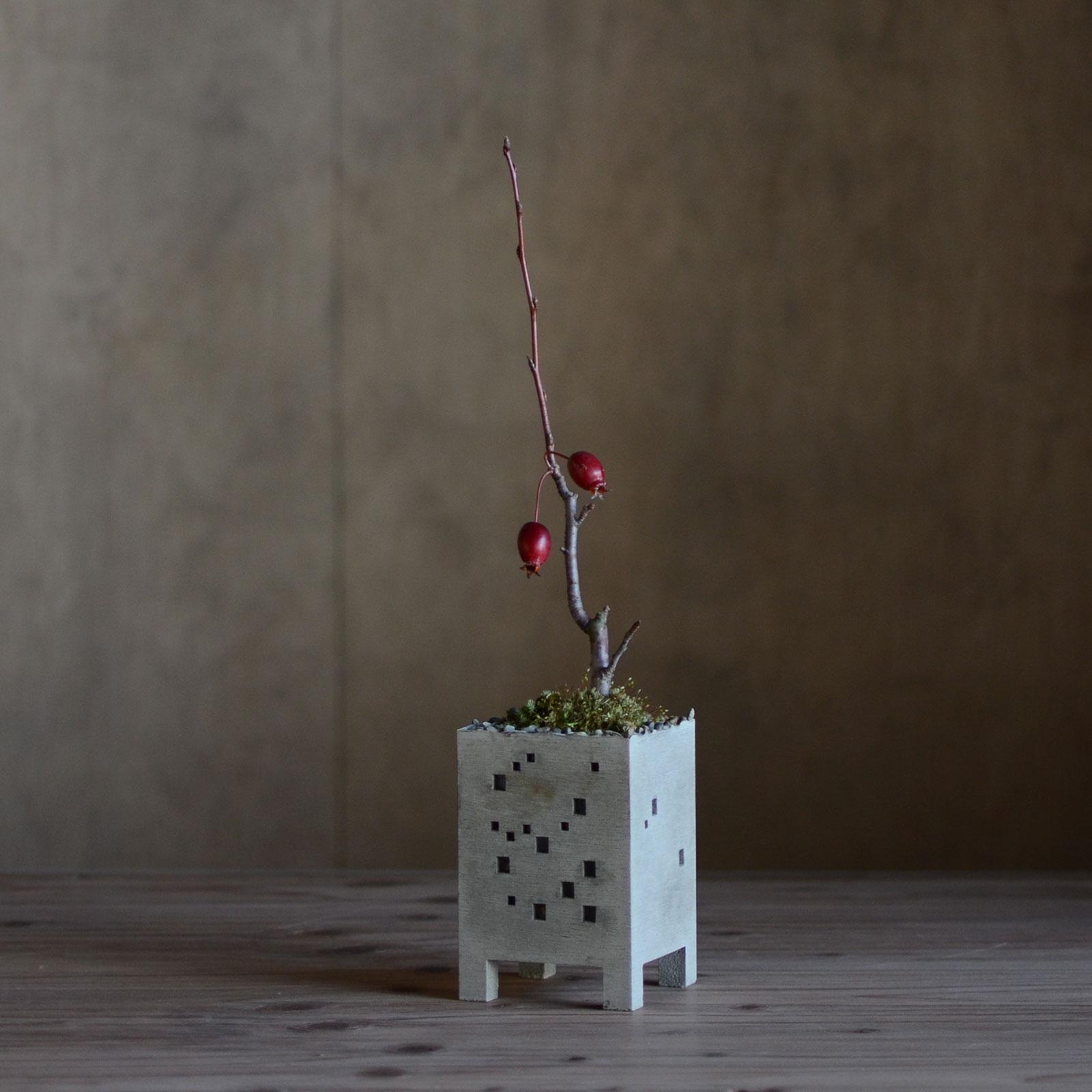 BUILDING MINI PLANTER